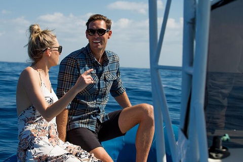 Private Tangalooma Wrecks Tour - Accommodation BNB 2