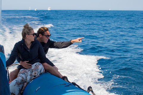 Private Tangalooma Wrecks Tour - Accommodation BNB 7