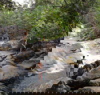 2D1N Atherton Tablelands Camping - Accommodation BNB