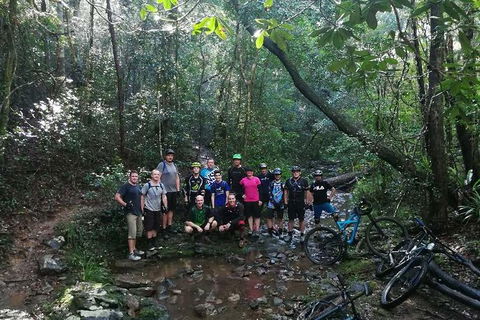 Gold Coast Mountain Bike Tour - Accommodation BNB 2