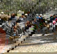 Gold Coast Mountain Bike Tour - Accommodation BNB