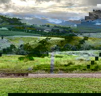 Tableland Tasting Tour - Accommodation BNB