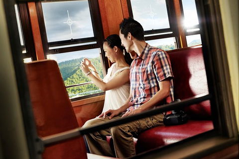Kuranda Day Tour, TKS-RFS GRAND 0830 - Accommodation BNB 5