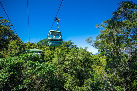 Kuranda Day Tour, TKS-RFS GRAND 0830 - Accommodation BNB 2