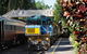 Kuranda Day Tour, TKS-RFS GRAND 0830 - thumb 0