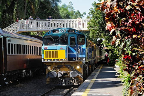 Kuranda Day Tour, TKS-RFS GRAND 0830 - Accommodation BNB 0