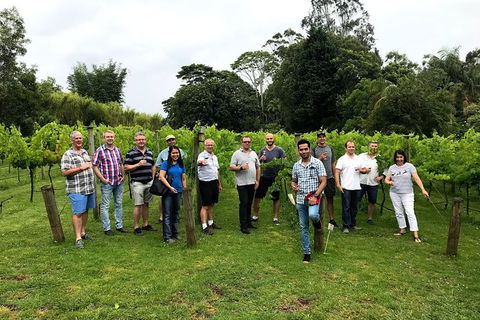 Mt Tamborine Winery Tour - Local Pickup - Accommodation BNB 3