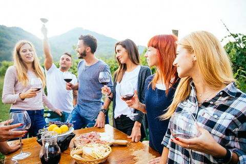 Mt Tamborine Winery Tour - Local Pickup - Accommodation BNB 4