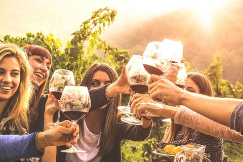 Mt Tamborine Winery Tour - Local Pickup - Accommodation BNB 0