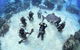 Learn To Scuba Dive: 4 Day Great Barrier Reef PADI Open Water Course Day Trips - thumb 1