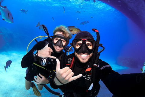 Learn To Scuba Dive: 4 Day Great Barrier Reef PADI Open Water Course Day Trips - Accommodation BNB 3