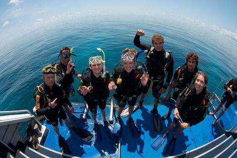 Learn To Scuba Dive: 4 Day Great Barrier Reef PADI Open Water Course Day Trips - Accommodation BNB 2