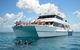 Learn To Scuba Dive: 4 Day Great Barrier Reef PADI Open Water Course Day Trips - thumb 13