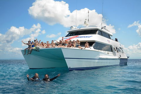 Learn To Scuba Dive: 4 Day Great Barrier Reef PADI Open Water Course Day Trips - Accommodation BNB 13