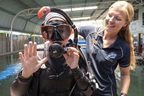 Learn To Scuba Dive: 4 Day Great Barrier Reef PADI Open Water Course Day Trips - Accommodation BNB 12