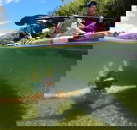 Babinda Half Day or Full Day Self-Guided Kayaking Experience - Accommodation BNB