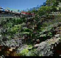 Kuranda Day TourTKS- Budget 930 - Accommodation BNB