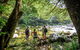 Private Daintree Mossman Gorge Exclusive Nature And Wildlife Focus - thumb 3