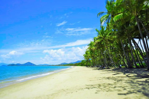 Airport Transfer - Palm Cove, Kewarra Beach & Trinity Beach To Cairns Airport - Accommodation BNB 2