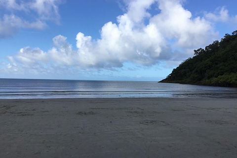 Daintree Luxury Limousine Tour - Full Day - Accommodation BNB 6