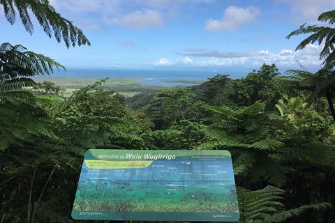 Daintree Luxury Limousine Tour - Full Day - Accommodation BNB 0