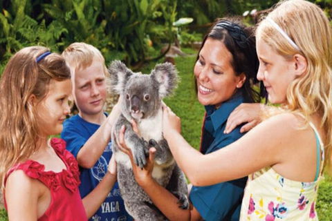 Kuranda Day Tour + HotAir Balloon Combo - Accommodation BNB 9