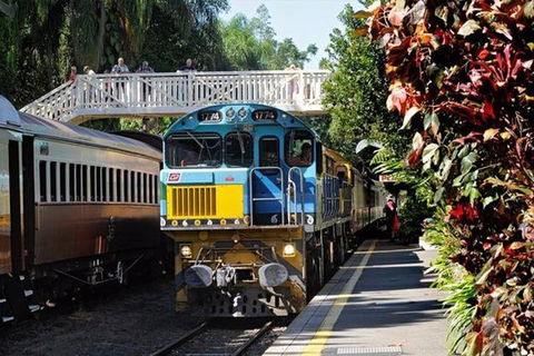 Kuranda Day Tour + HotAir Balloon Combo - Accommodation BNB 3