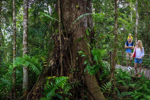 Kuranda Day Tour + HotAir Balloon Combo - Accommodation BNB 11