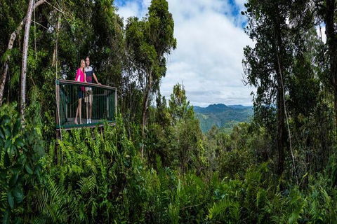Kuranda Day Tour + HotAir Balloon Combo - Accommodation BNB 6