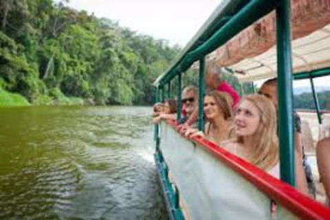 Kuranda Day Tour + HotAir Balloon Combo - Accommodation BNB 13
