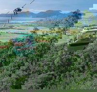 Kuranda Day Tour TKS-RFS GRAND GOLD PLUS 0930 - Accommodation BNB