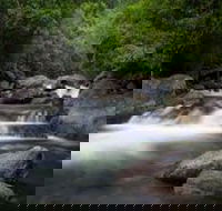 Waterfall and Wallabies Sighting Tour - Accommodation BNB