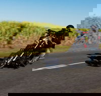 Motorcycle Adventure Tour Gold Coast 883 - Accommodation BNB
