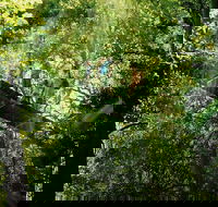 OReillys Rainforest Retreat and Winery Day Tour from Nerang - Accommodation BNB