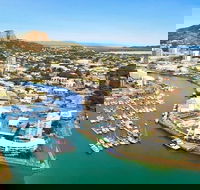 Explore Townsville 7 Hour Guided River Mountain and City Tour - Accommodation BNB