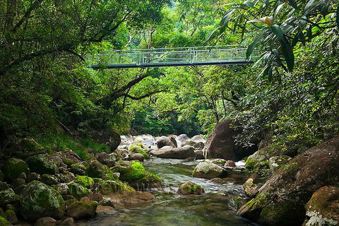 SHUTTLE - Mossman Gorge & Cooya Beach From Port Douglas (Return Transfer) - Accommodation BNB 4