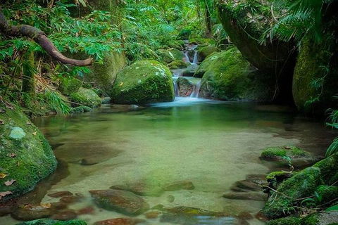 SHUTTLE - Mossman Gorge & Cooya Beach From Port Douglas (Return Transfer) - Accommodation BNB 2