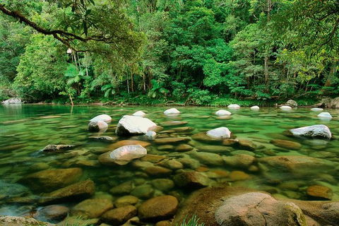 SHUTTLE - Mossman Gorge & Cooya Beach From Port Douglas (Return Transfer) - Accommodation BNB 3