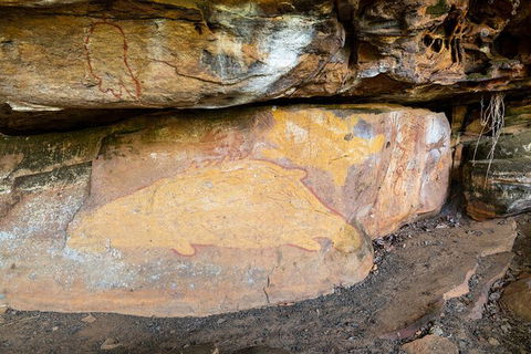 Half Day Aboriginal Rock Art Experience In Queensland - Accommodation BNB 3
