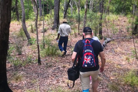 Half Day Aboriginal Rock Art Experience In Queensland - Accommodation BNB 5