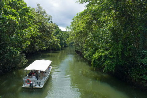 World Heritage Highlights: Reef/Daintree/Cape Tribulation - Accommodation BNB 1