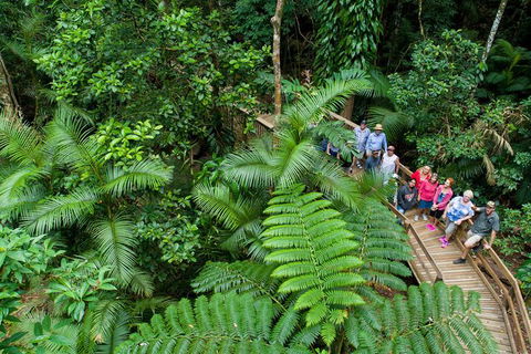 World Heritage Highlights: Reef/Daintree/Cape Tribulation - Accommodation BNB 3