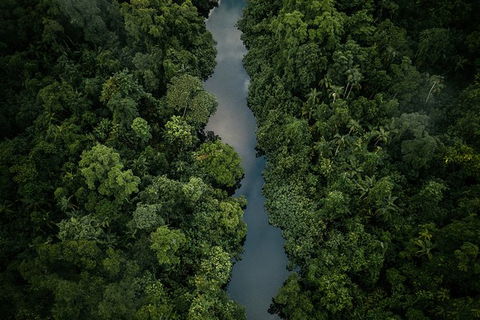 World Heritage Highlights: Reef/Daintree/Cape Tribulation - Accommodation BNB 10