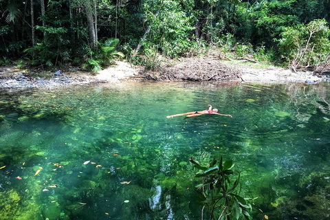 World Heritage Highlights: Reef/Daintree/Cape Tribulation - Accommodation BNB 4
