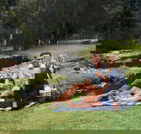 Mt Tamborine - Hinterland Wonders Self Guided - Accommodation BNB