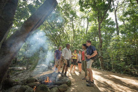 Mossman Gorge Adventure Day - Accommodation BNB 2