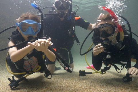 Scuba Kids- Padi Bubblemaker Course - Accommodation BNB 4