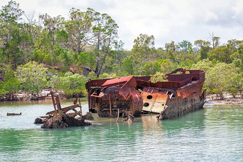 Sandy Straits Scenic & Wildlife Cruise - Accommodation BNB 9