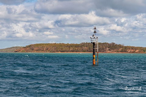 Sandy Straits Scenic & Wildlife Cruise - Accommodation BNB 6