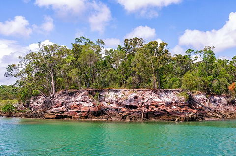 Sandy Straits Scenic & Wildlife Cruise - Accommodation BNB 2